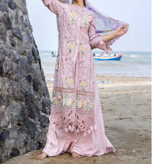 Embroidered Adans libas ocean Pakistani suit